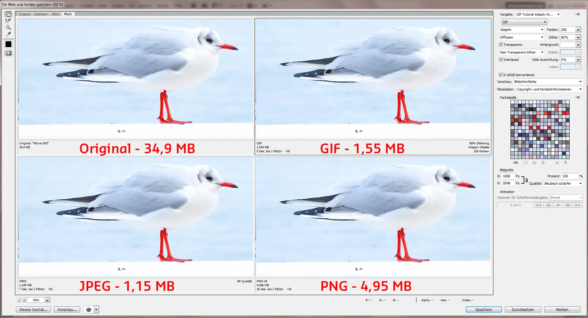 Bilder fuer Web optimieren 01