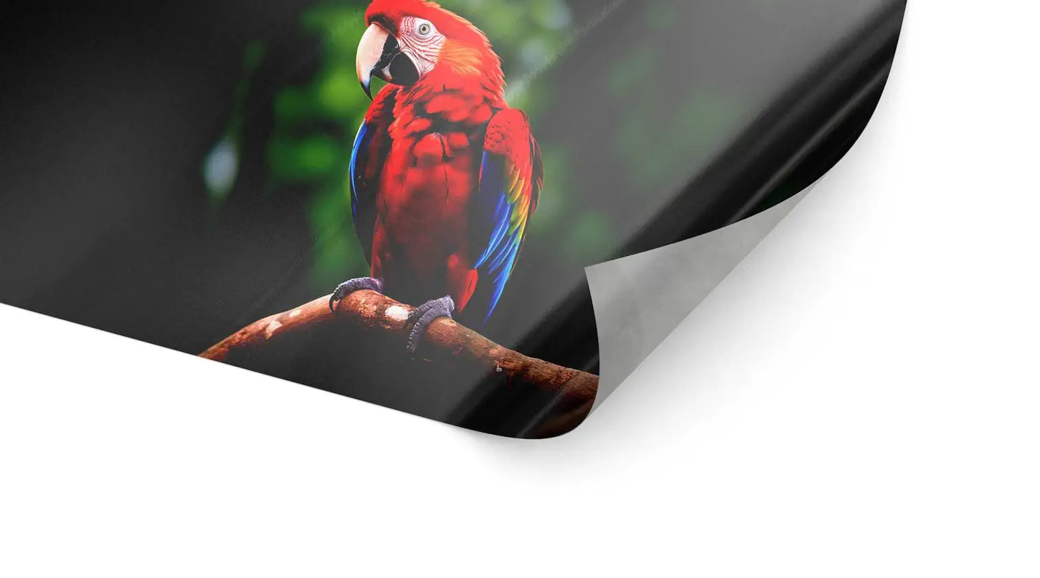 Autofolie (permanent)