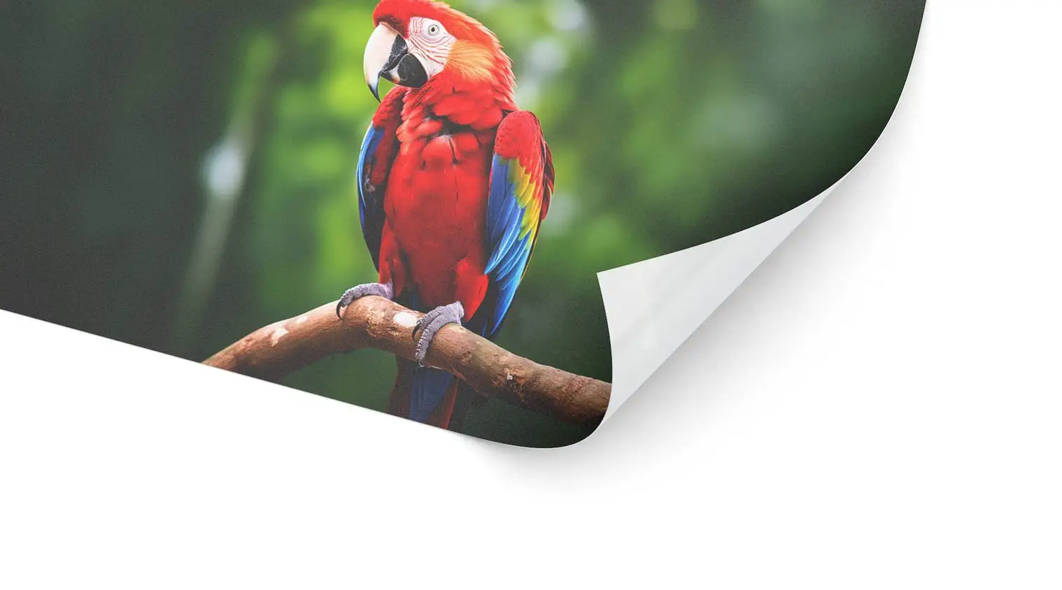 High-Tack-Folie (ablösbar)