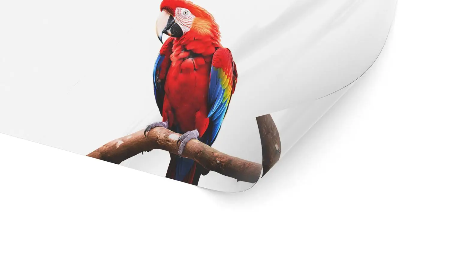 Standardfolie transparent (permanent)