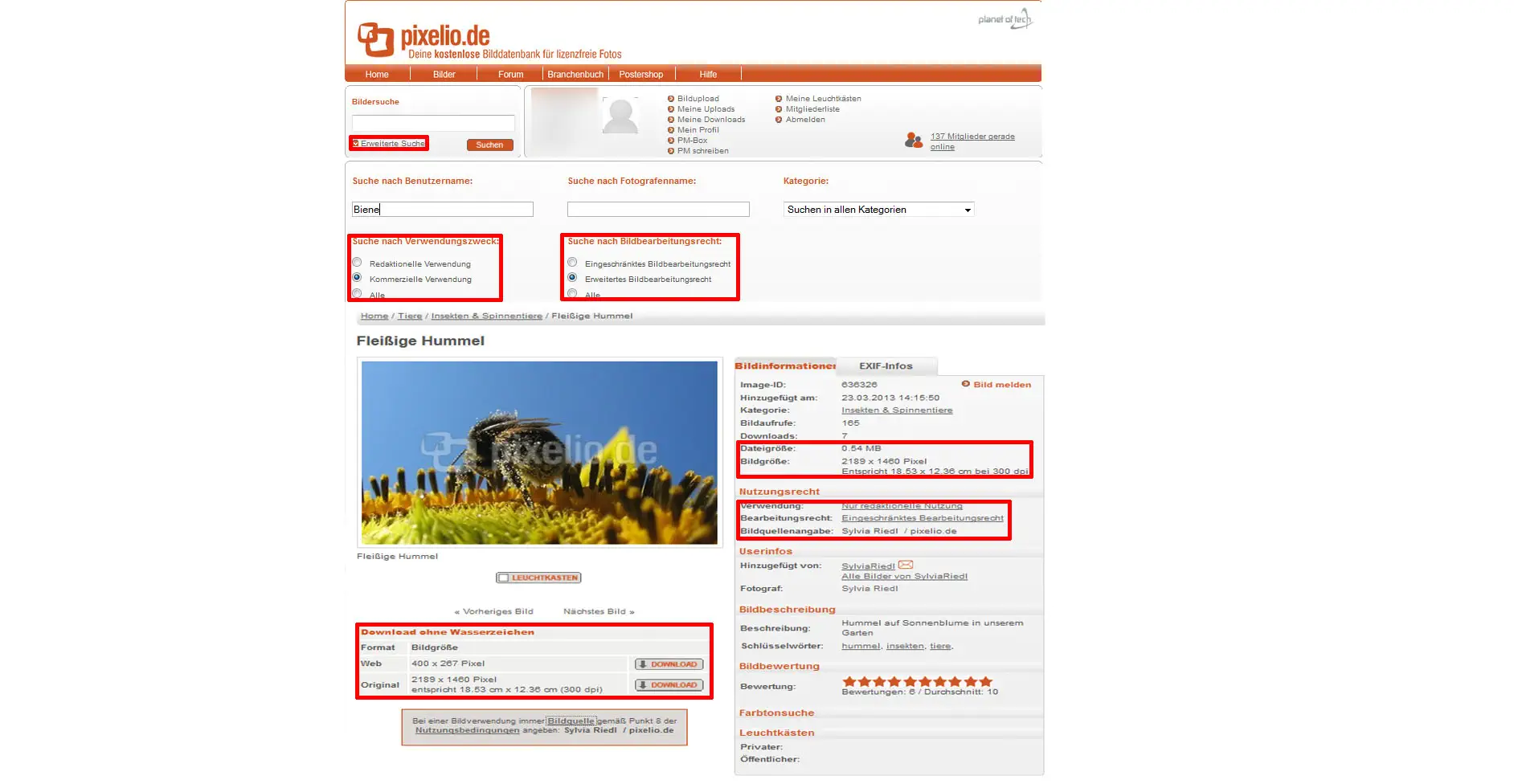 Kostenlose Bilddatenbanken 18 Informationen zur pixelio Bilddatenbanken