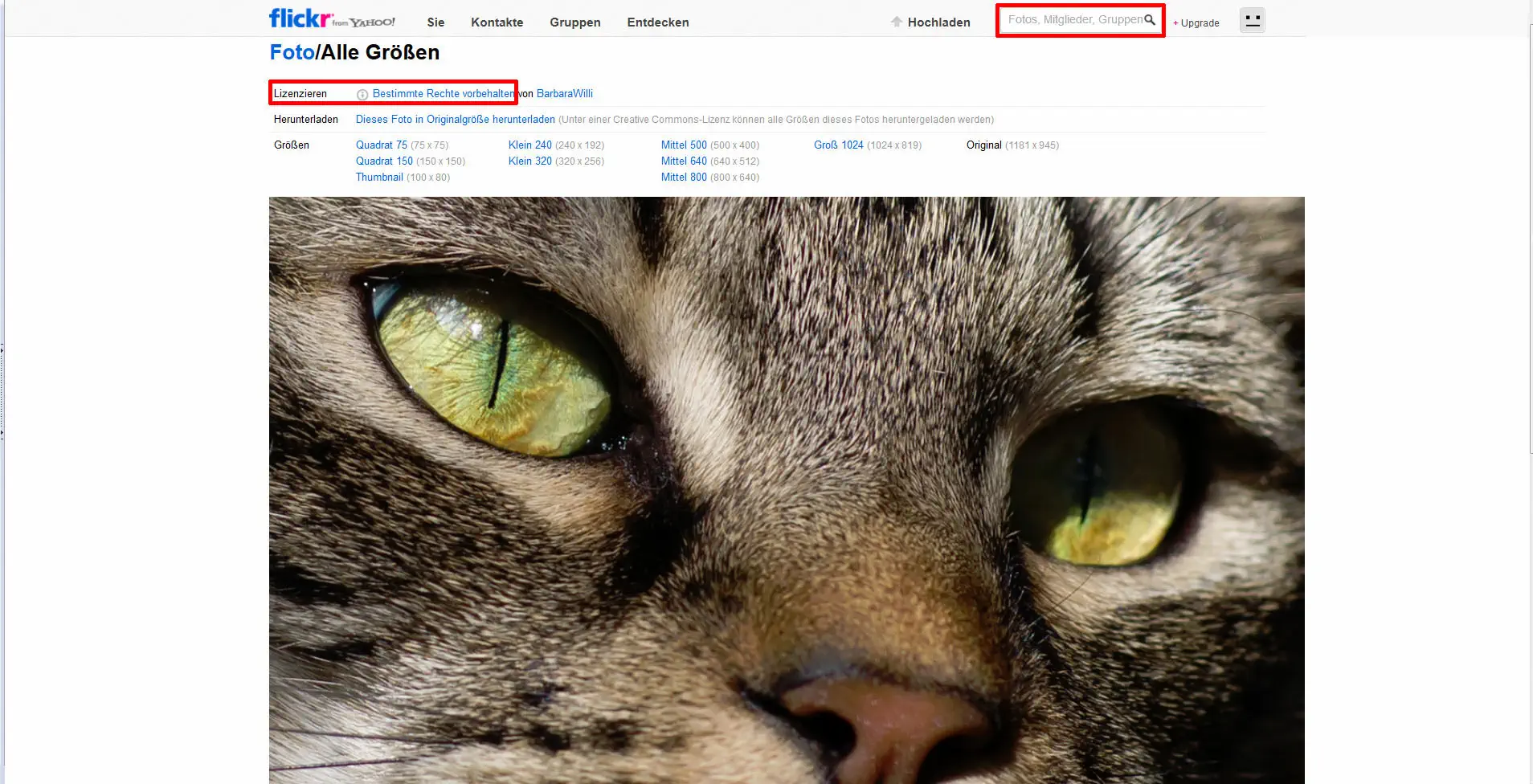 Kostenlose Bilddatenbanken 21 Informationen zur Flickr Bilddatenbanken