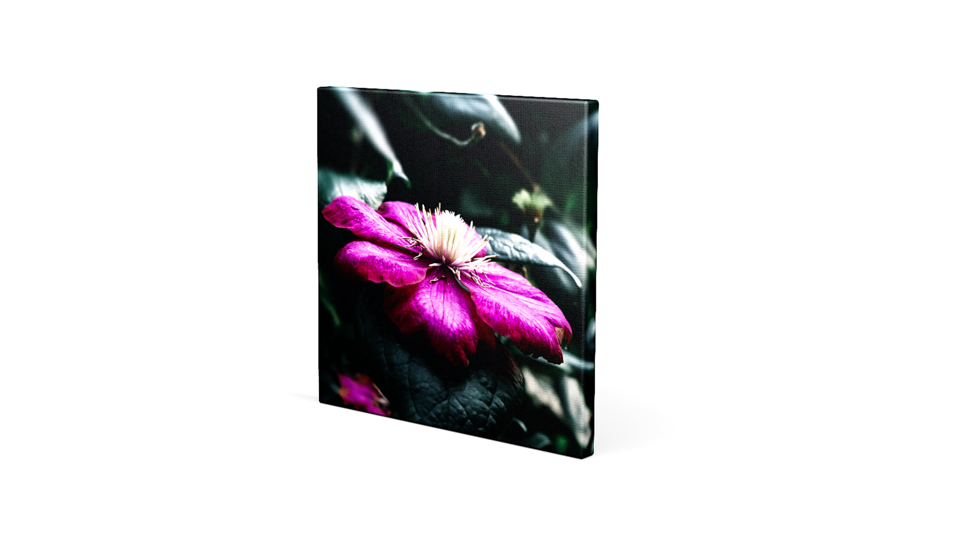 Artikel Leinwand quadratisch