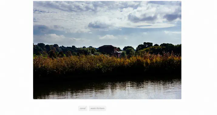 Lizenzfreie Bilder 10 pflanzen am wasser