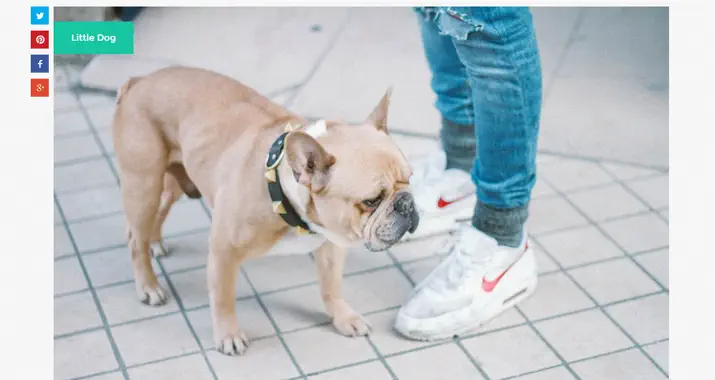 Lizenzfreie Bilder 21 Life of Pix homepage