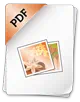 PDF Icon small