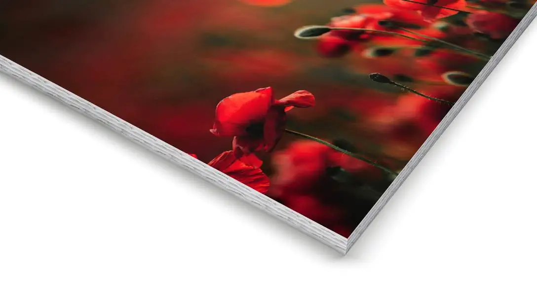 Artikel Papierplatten Wandbilder