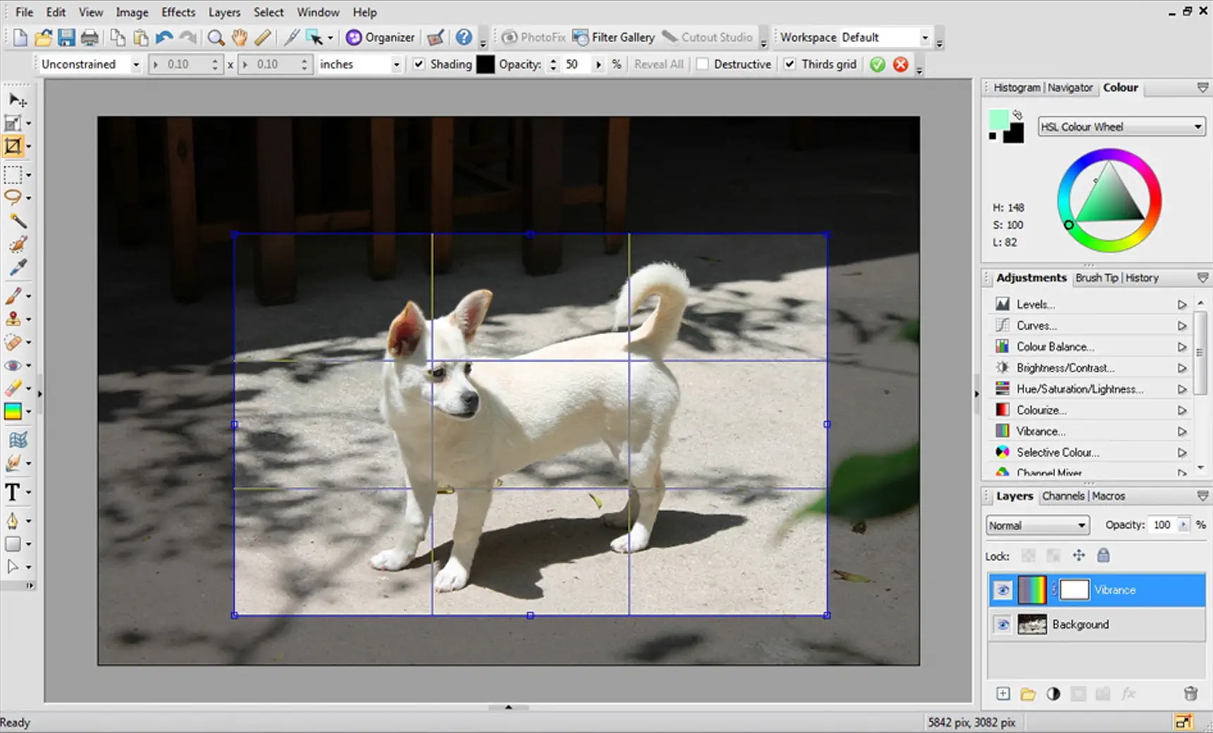 Photoshop Alternative 03 Creative Cloud Photoshop Alternative Freeware kostenlos Windows