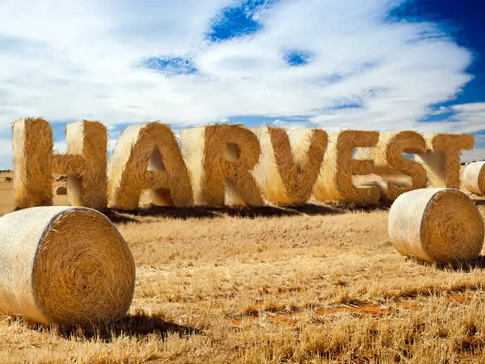 Schrift Effekte für Photoshop 12