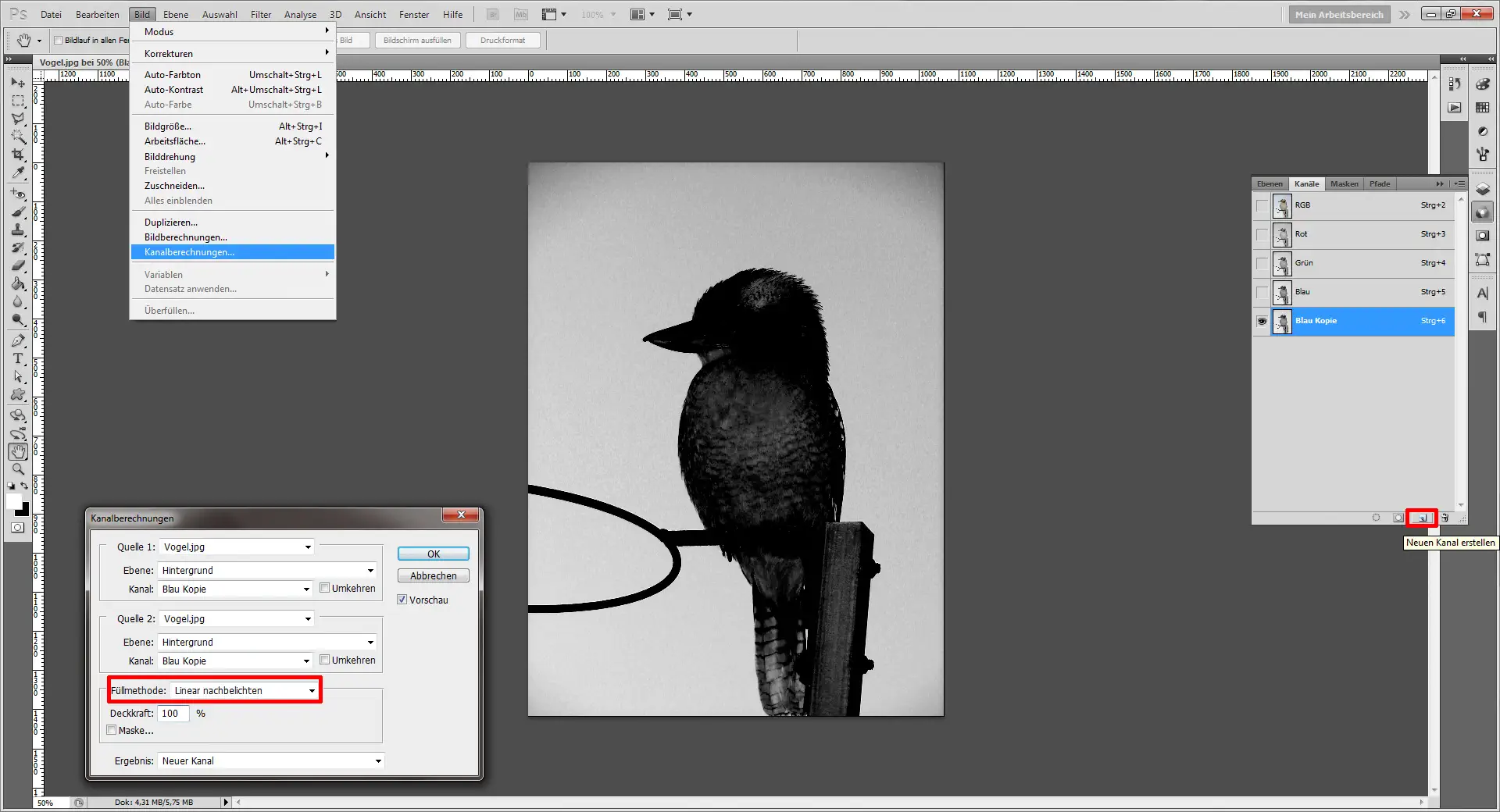 Photoshop Tutorial: schwarzer Vogel.