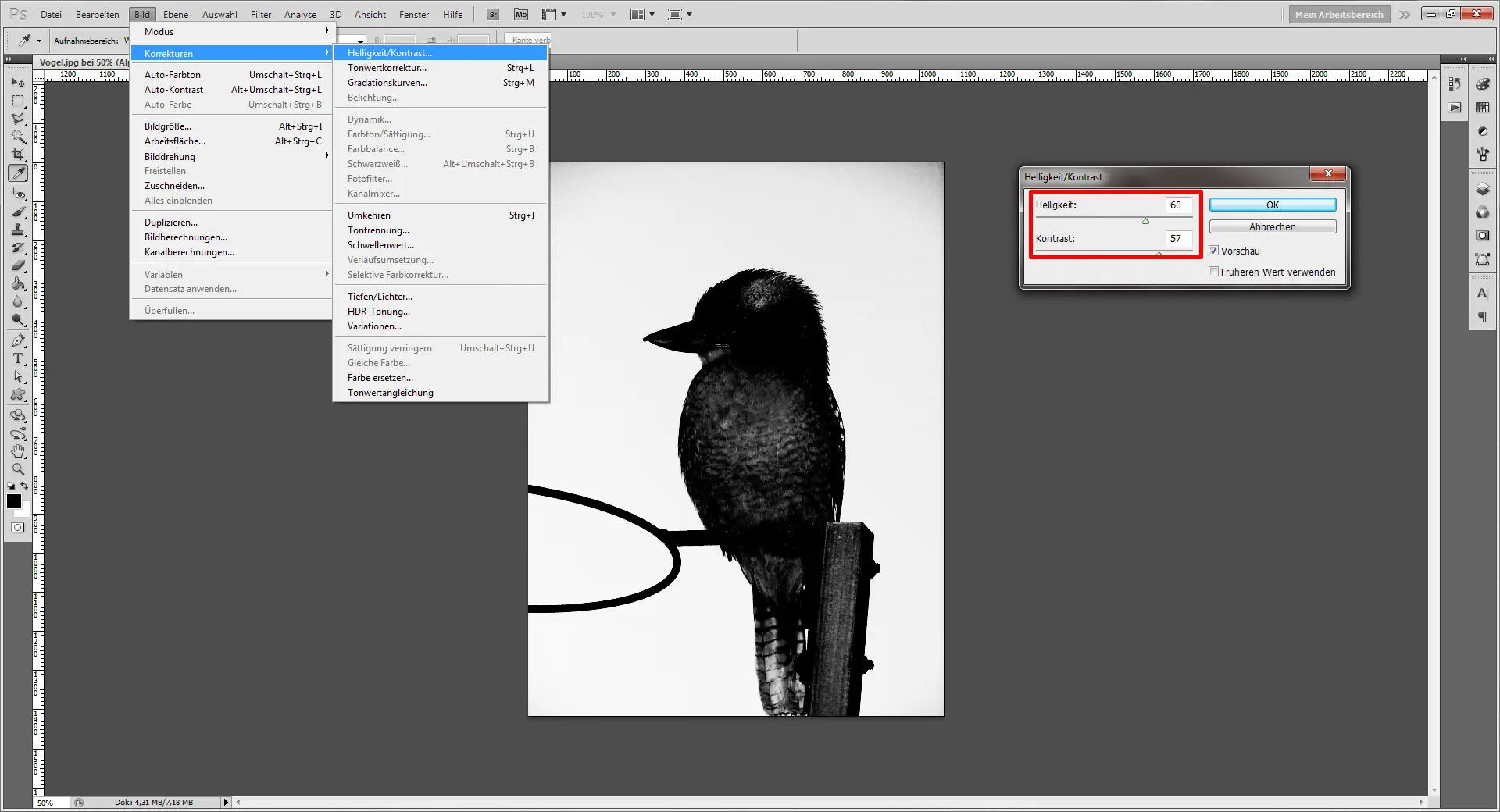 Photoshop Tutorial: schwarzer Vogel.