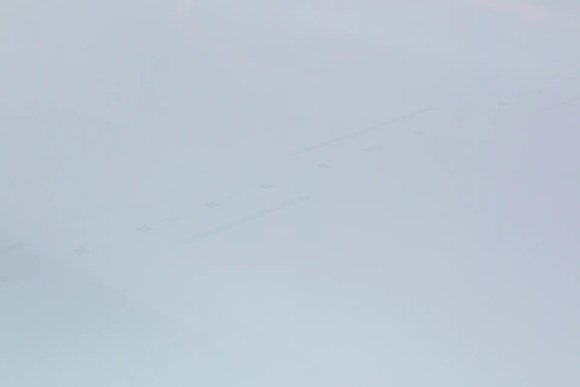 Prozessfreie Plattenbelichtung SAXOPRINT 01