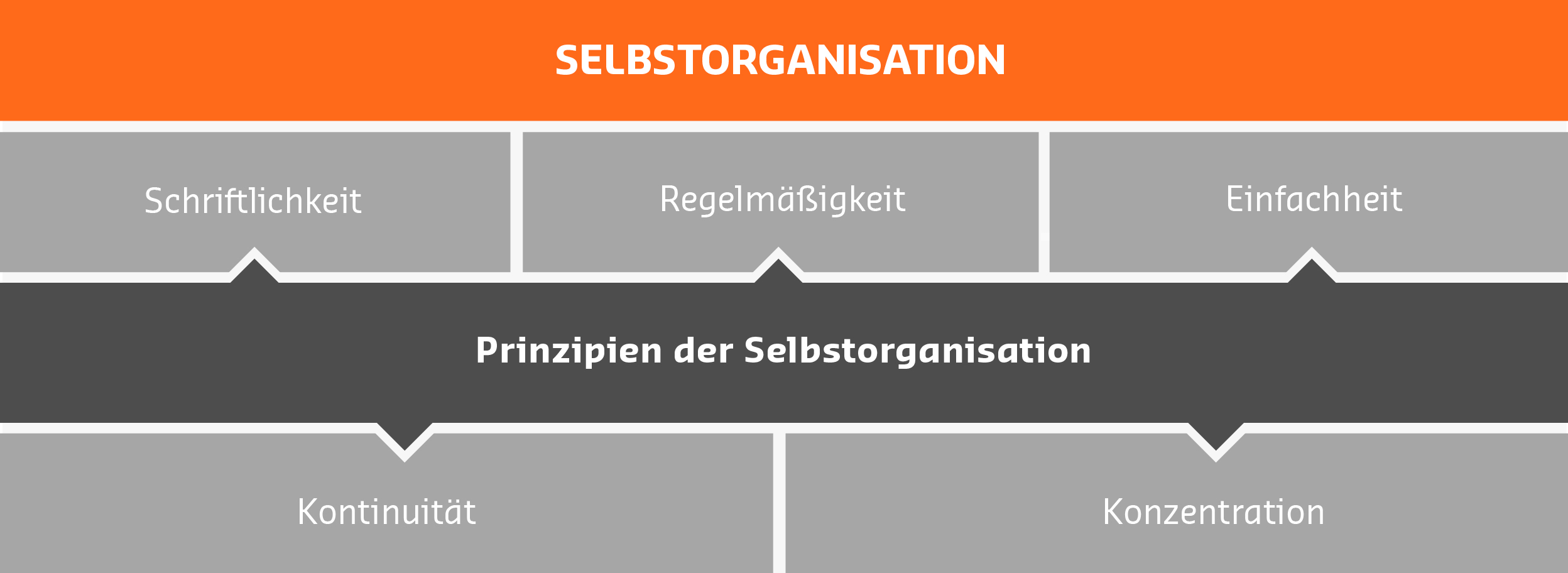 Prinzipien der Selbstorganisation
