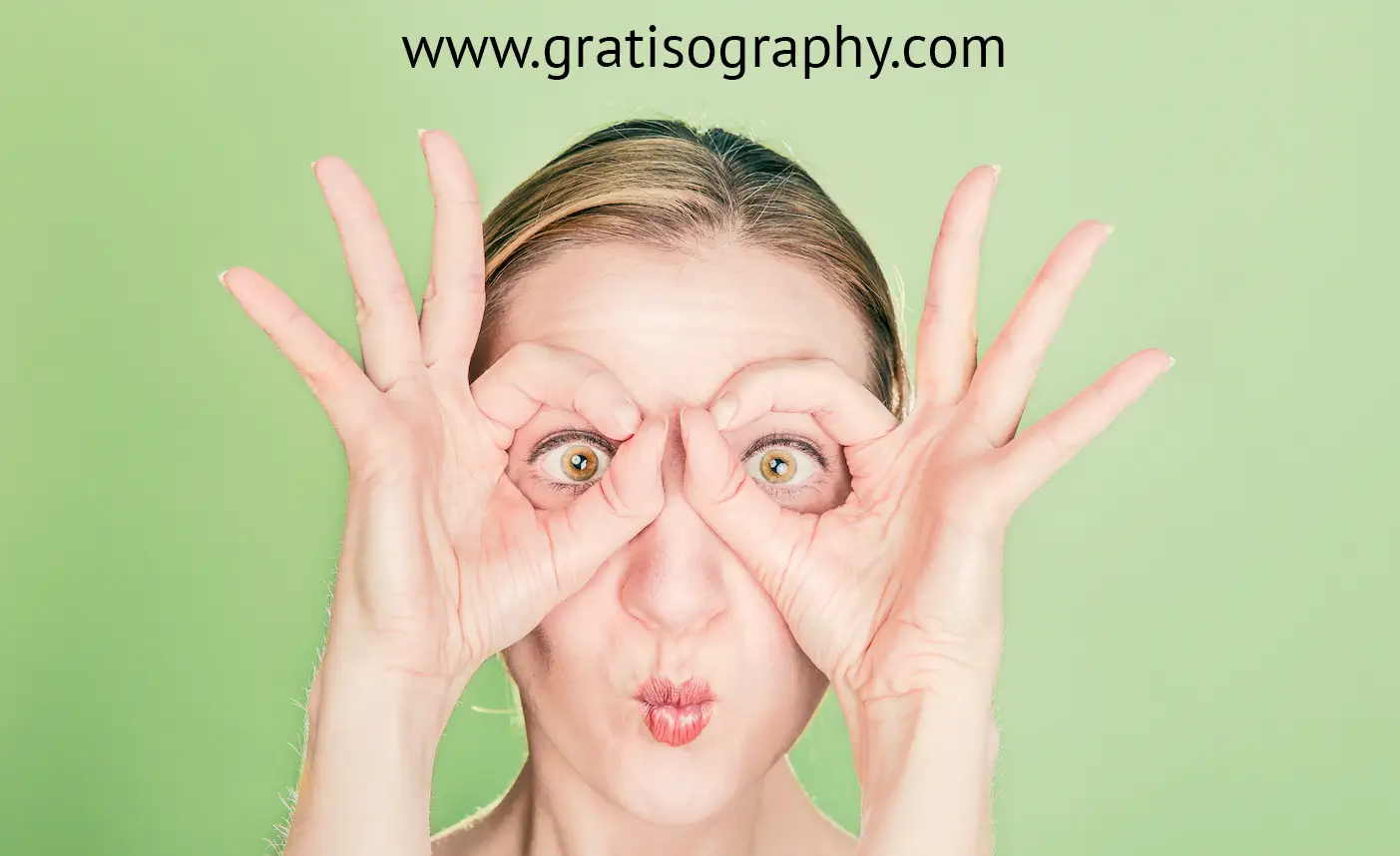 Titelbild Ringordner Titelbild Ringordner