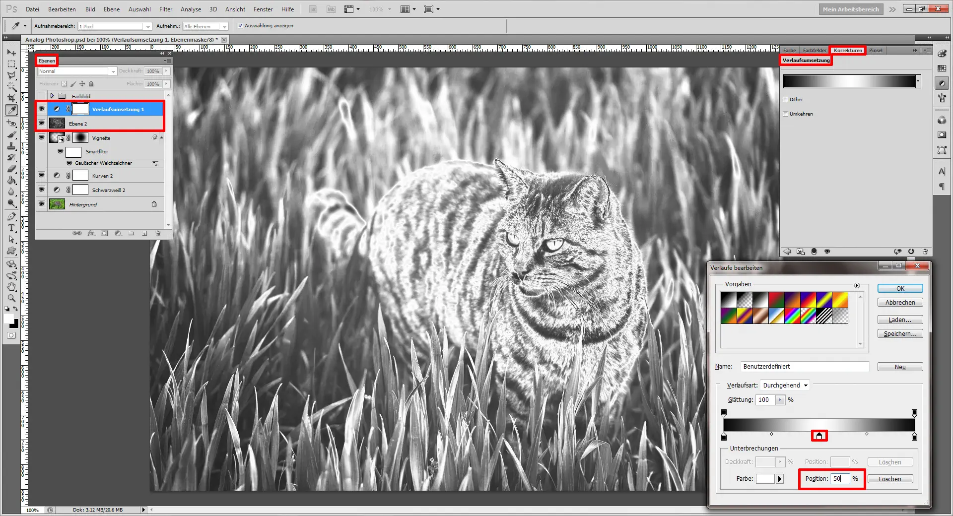 Tutorial Analog Photoshop 11 Mit einem Foto Effekt den Photoshop Analog Look nachempfinden (11)