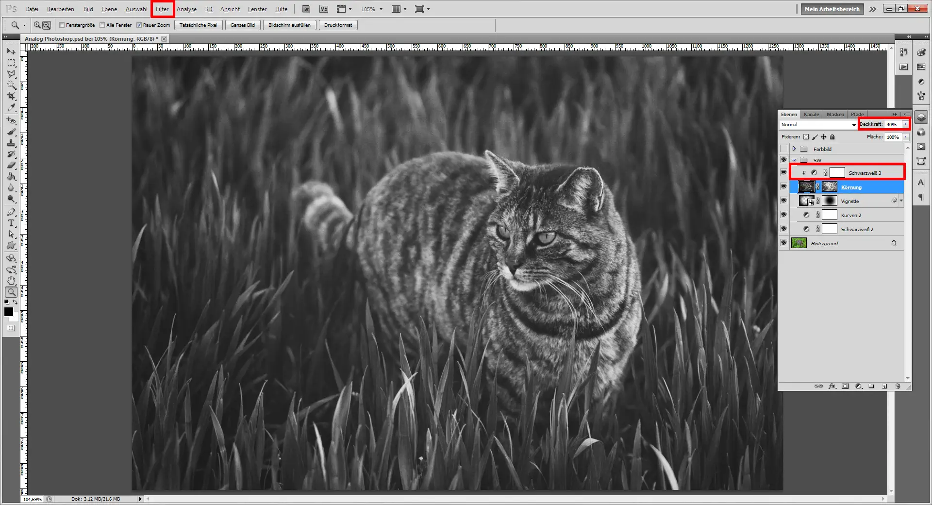Tutorial Analog Photoshop 13 Mit einem Foto Effekt den Photoshop Analog Look nachempfinden (13)