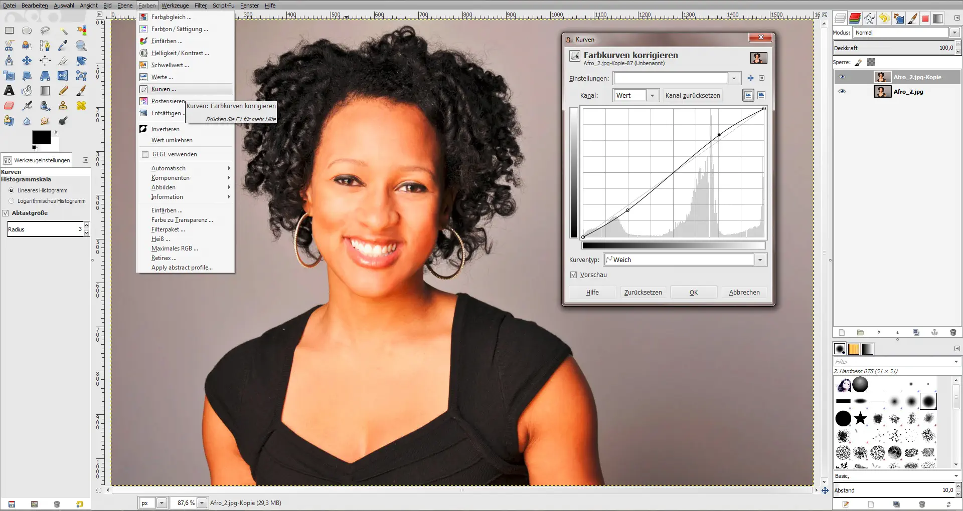 Tutorial Haare freistellen GIMP 10 Tutorial Haare freistellen GIMP 10