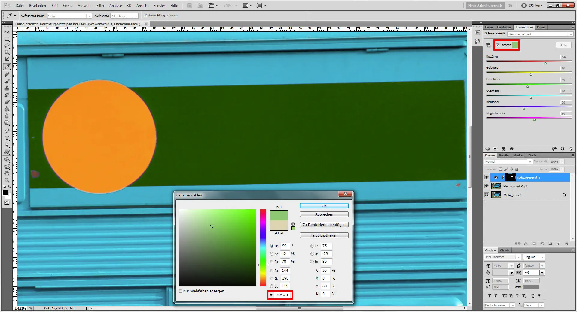 Tutorial Farbe ersetzen Photoshop 12