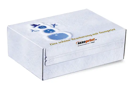 versandkarton vorlage karton fertig