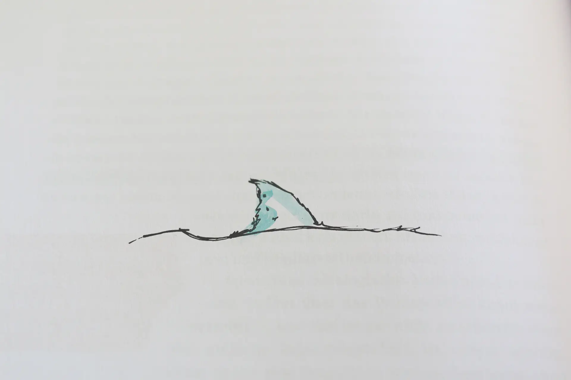 Von der Badewanne ins Haifischbecken   Jan Hochbruck   Rheinwerk (5)