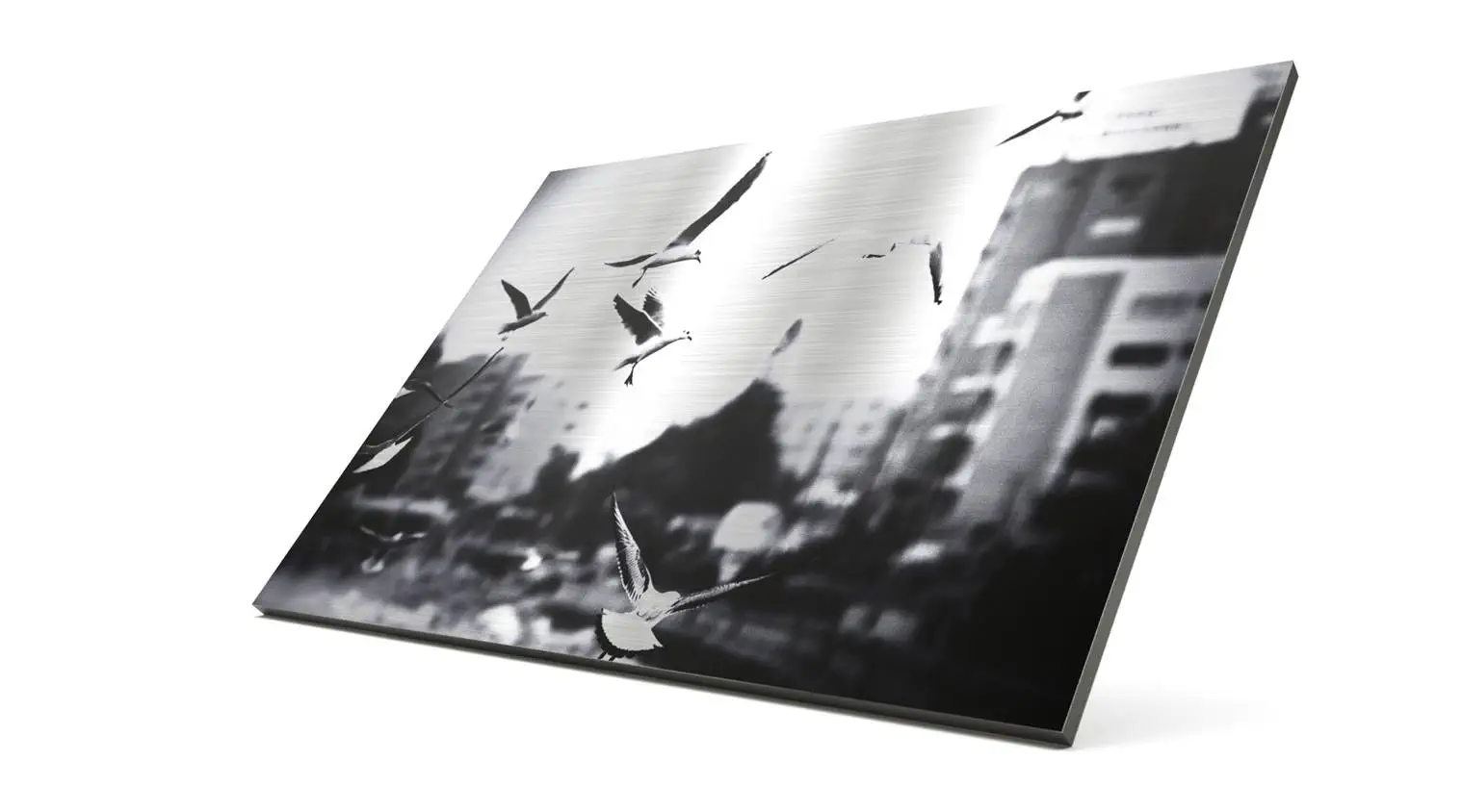 Aluverbundplatte gebürstet - silberne Oberfläche