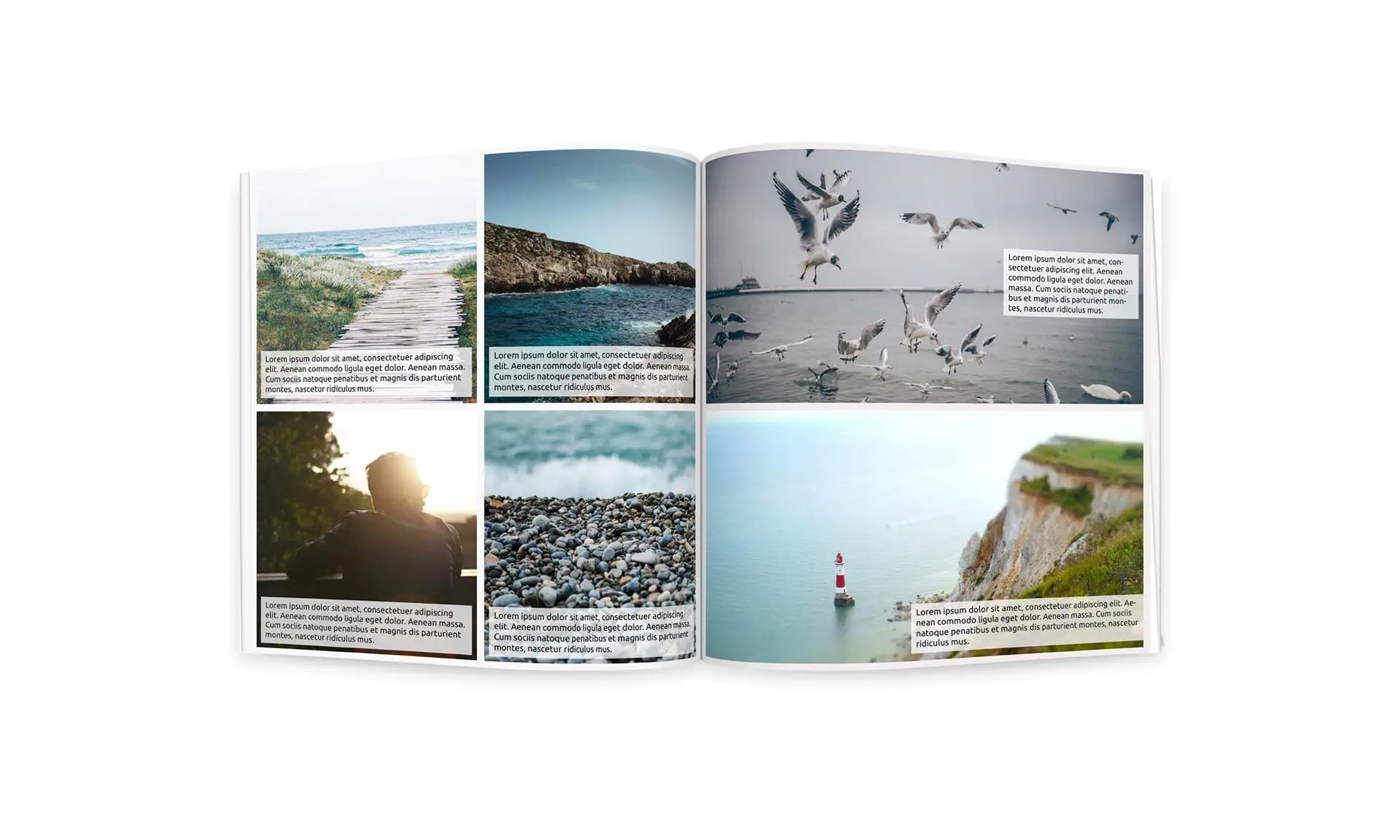 Gestaltet ein professionelles Fotobuch mit Adobe InDesign Gestaltet ein professionelles Fotobuch mit Adobe InDesign