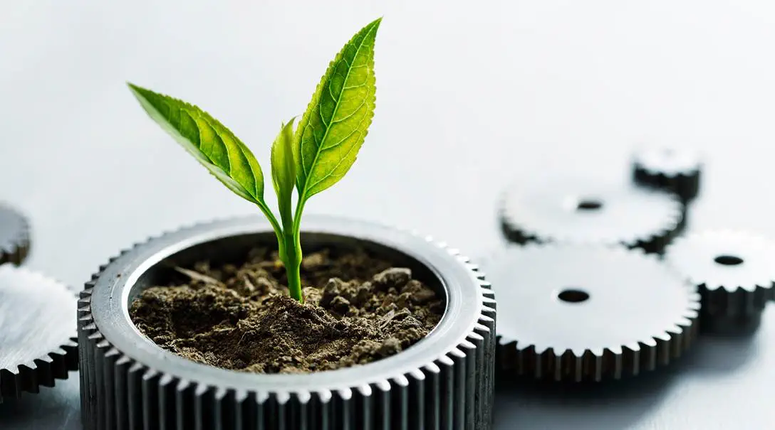 Nachhaltigkeit & Umweltschutz