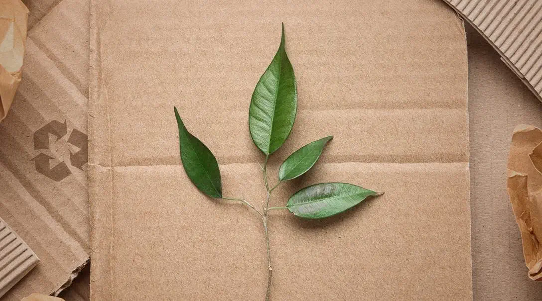 Artikel Übersicht über unsere Umweltmaßnahmen